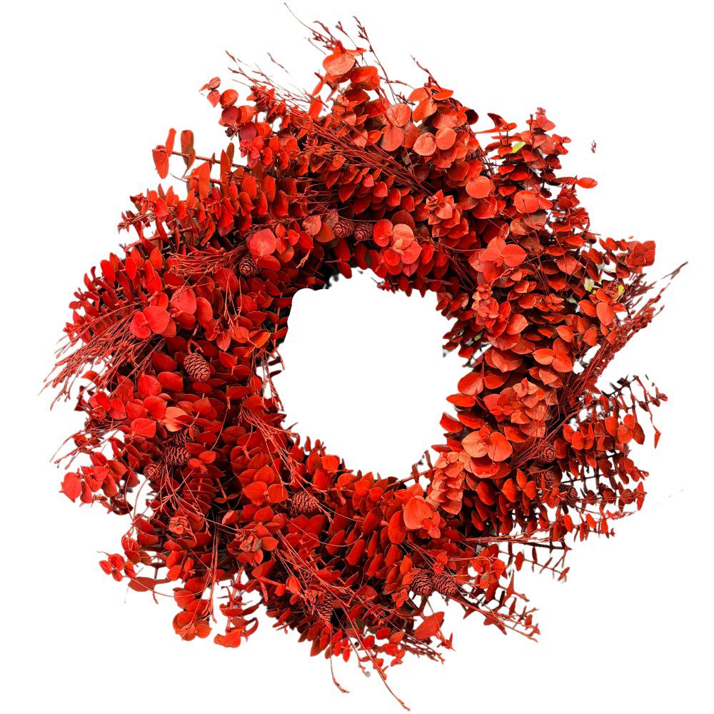 Medium Dried Pennygum Wreath