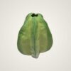 Lime Ceramic Fruit Vase - Image 2
